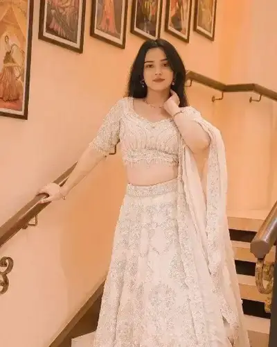 Escort Service In Narharpur